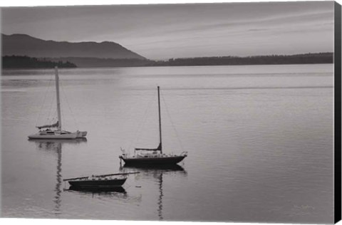 Framed Bellingham Bay BW Print