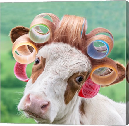 Framed Cow in Curlers Print