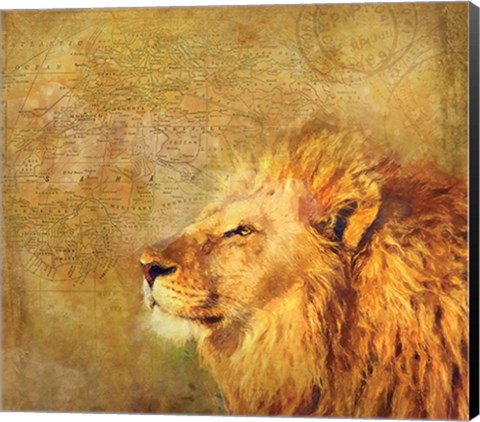 Framed Lion Print