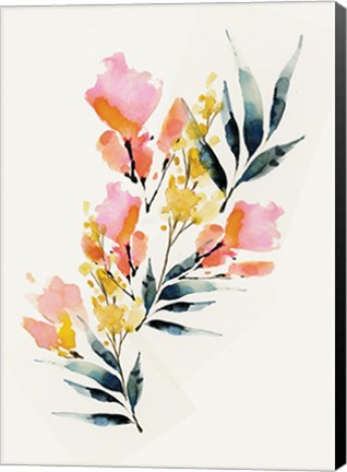 Framed Floral II Print