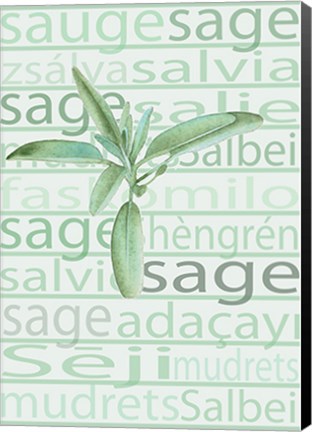 Framed Sage Print