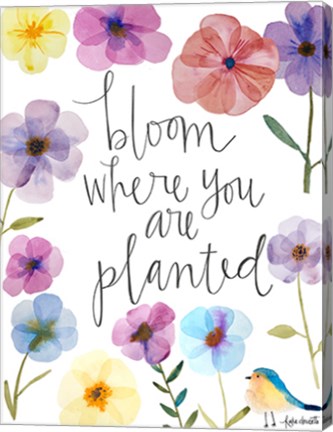 Framed Bloom Where You Are Planted Print