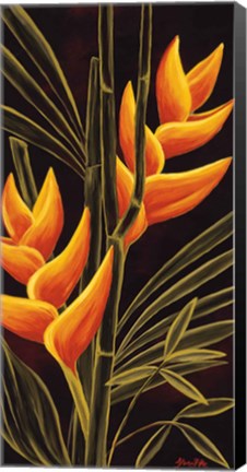 Framed Heliconia Print