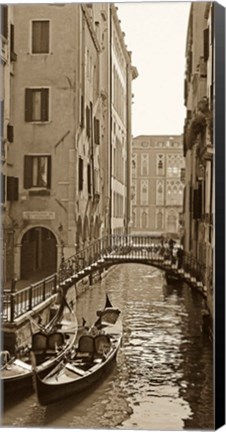 Framed Venice Reflections Print