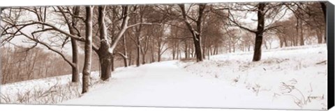 Framed First Snow I Print