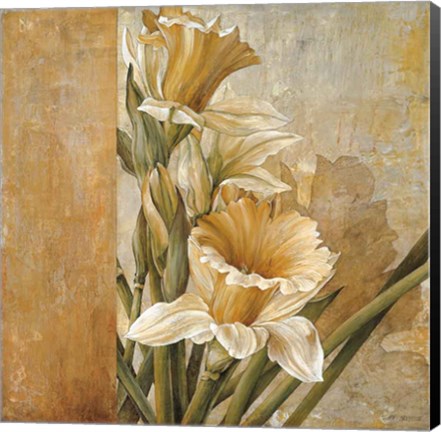 Framed Champagne Daffodils II Print