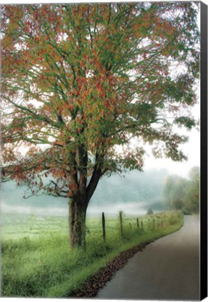 Framed Almost Autumn Print