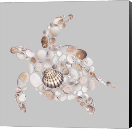 Framed Sea Turtle Print