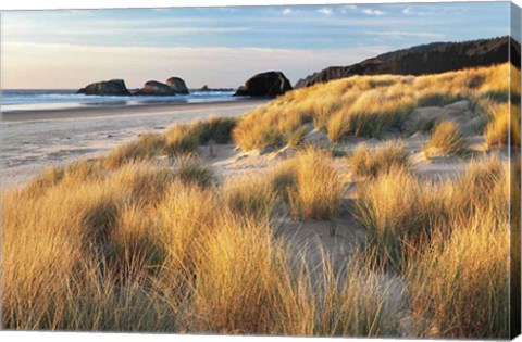 Framed Dune Grass And Beach Print