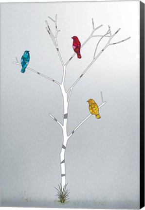 Framed Three In A Tree Print