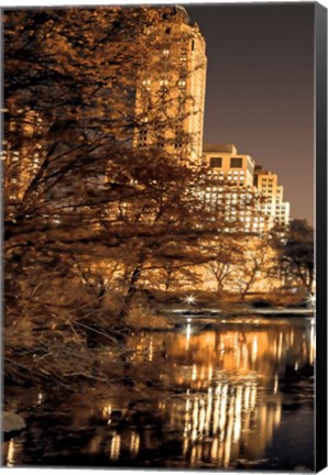Framed Central Park Glow I Print