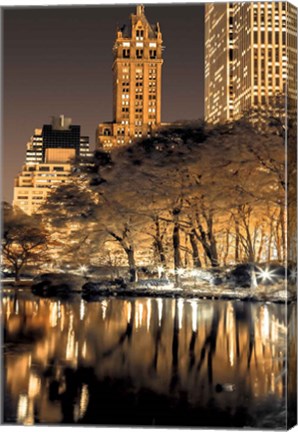 Framed Central Park Glow II Print