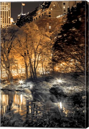Framed Central Park Glow III Print