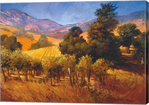 Framed Southern Vineyard Hills Print