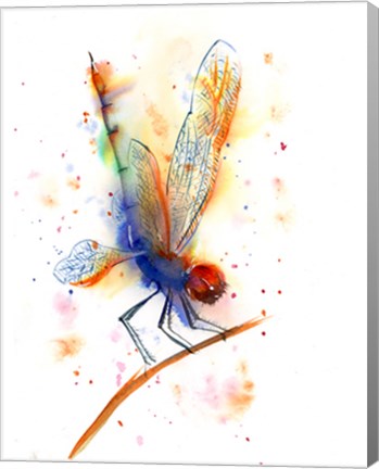 Framed Dragonfly II Print