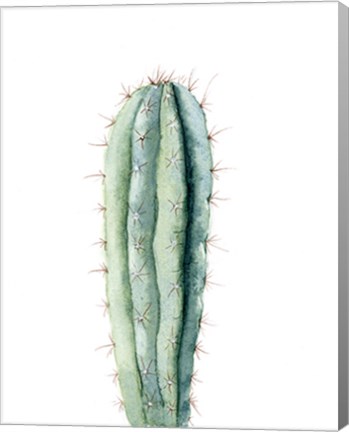 Framed Cactus IV Print