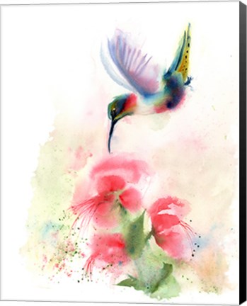 Framed Red Flower Hummingbird Print
