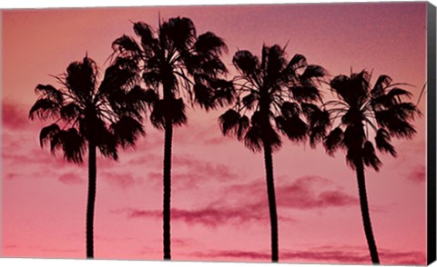 Framed Pink Palms Print