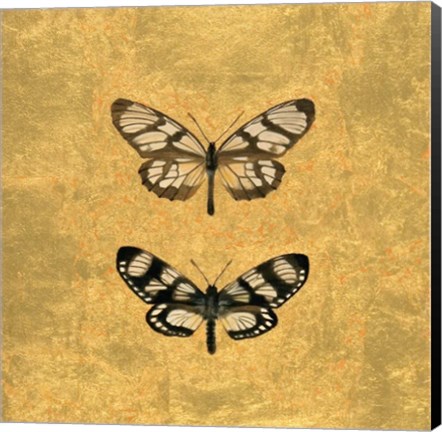 Framed Pair of Butterflies on Gold Print