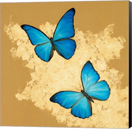 Framed Cerulean Butterfly I Print