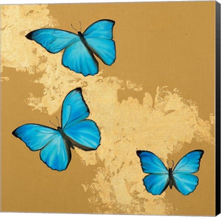 Framed Cerulean Butterfly II Print