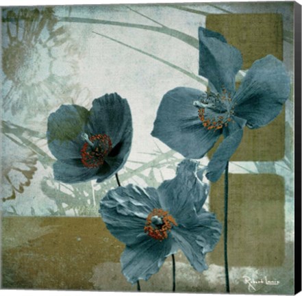 Framed Cerulean Poppies II Print