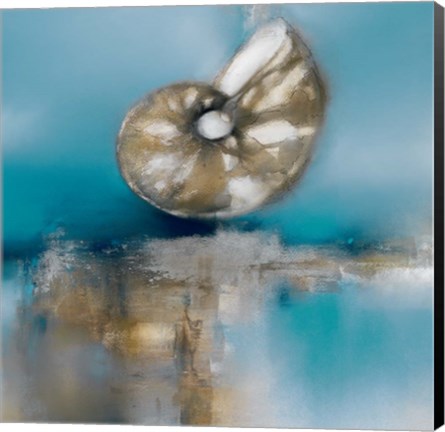 Framed Blue Shores Nautilus Print
