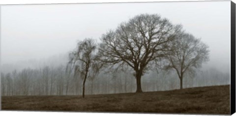 Framed Autumn Fog Print