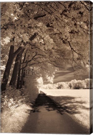 Framed Path Ahead Print