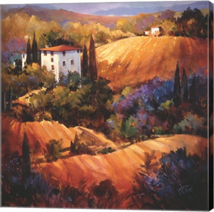 Framed Evening Glow Tuscany Print