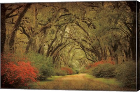 Framed Road Lined With Oaks &amp; Flowers Print