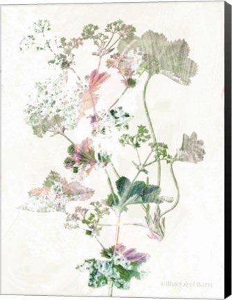 Framed Boho Geranium Botanical Print