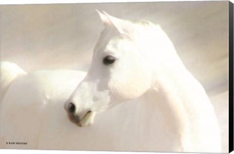 Framed White Arab II Print