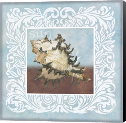 Framed Sandy Shells Blue Spikey Print