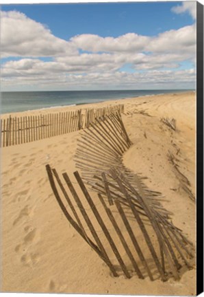 Framed Beach Dunes II Print