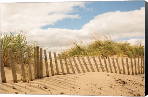 Framed Beach Dunes I Print