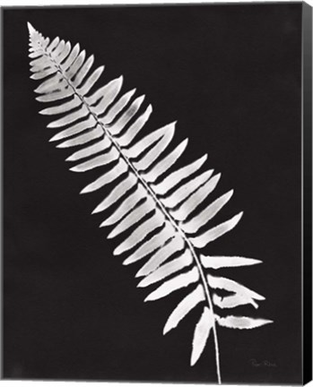 Framed Nature by the Lake Ferns IV Black Crop Print