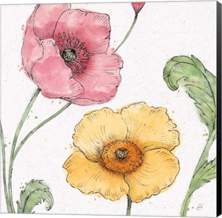 Framed Blossom Sketches I Color Print