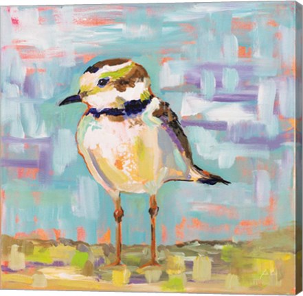 Framed Coastal Plover II Print