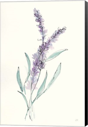 Framed Lavender IV Print