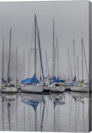 Framed Sailing Boats Print