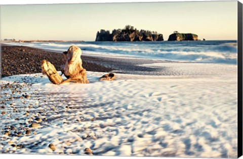 Framed Washed on Shore Print