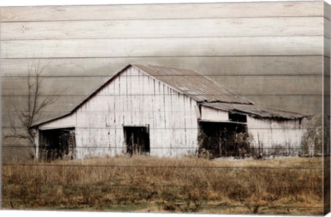 Framed White Barn on Wood Print