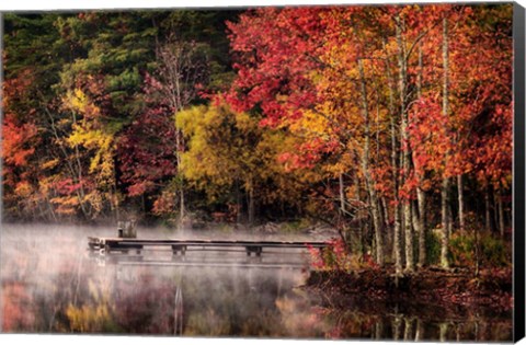 Framed Woodland Dock Print