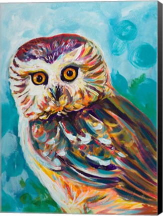 Framed Colorful Owl Print