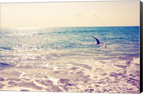 Framed Fly Away Print