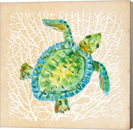 Framed Sealife Turtle Print