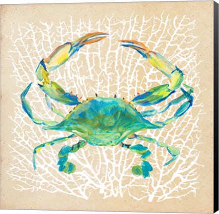 Framed Sealife Crab Print