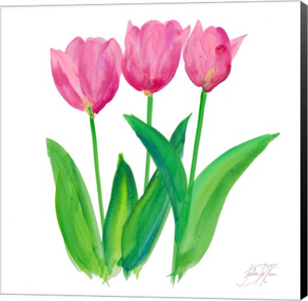 Framed Tulips I Print