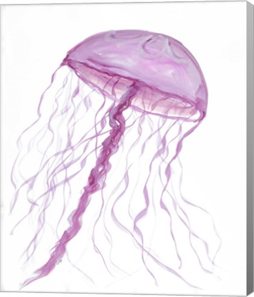 Framed Jellyfish II Print